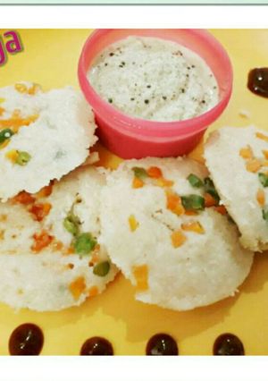 A picture of Oats Veggie Idli.