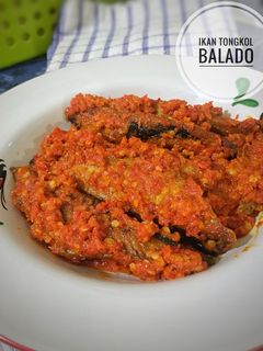 Foto resep Ikan Tongkol Balado