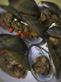 Kerang tumis Saos Tiram
