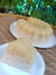 Foto resep Puding Santan Gula Merah Kelapa Muda