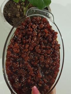 عکسی از دستور انگور پته (مربا انگور)