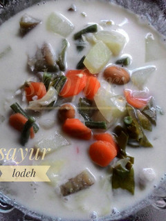 Foto resep Sayur lodeh campur²