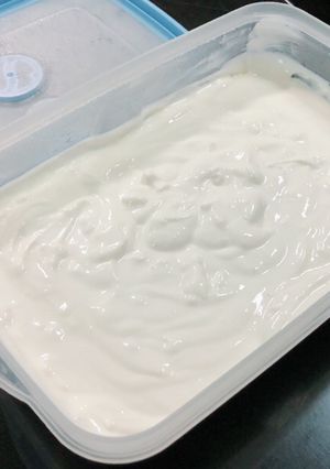 รูปของ Plain Yogurt (โยเกิร์ตรสธรรมชาติ)