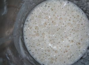 Foto resep Sourdough Starter 100% hydration (1:1)