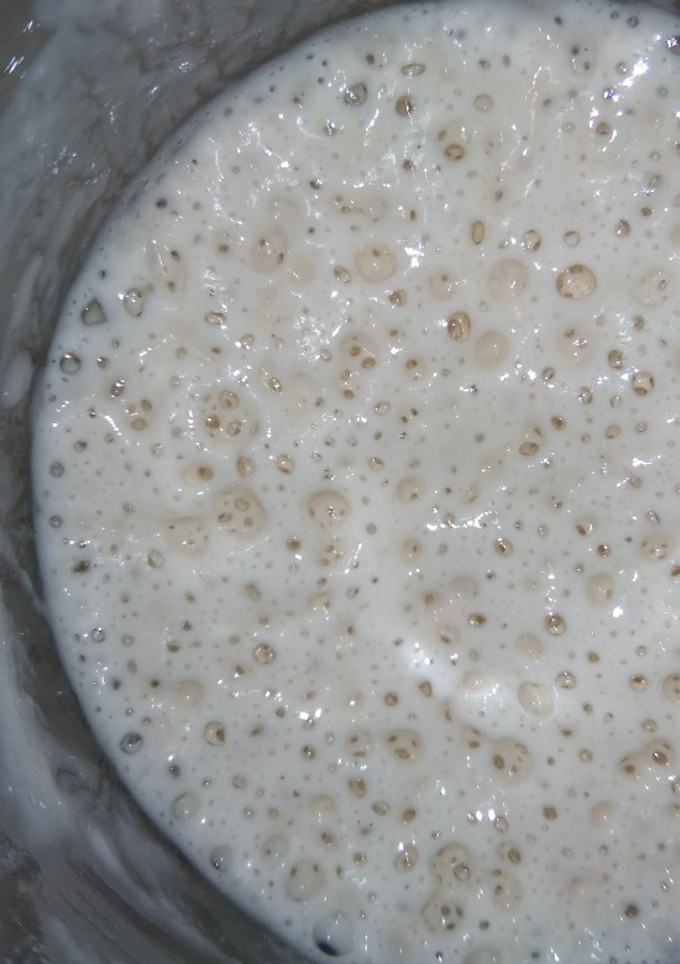 Foto resep Sourdough Starter 100% hydration (1:1)