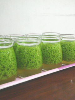 Foto resep Puding Lumut