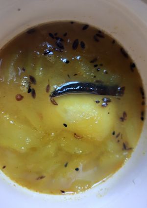 আমের চাটনি(aamer chutney recipe in Bengali) রেসিপির প্রধান ছবি