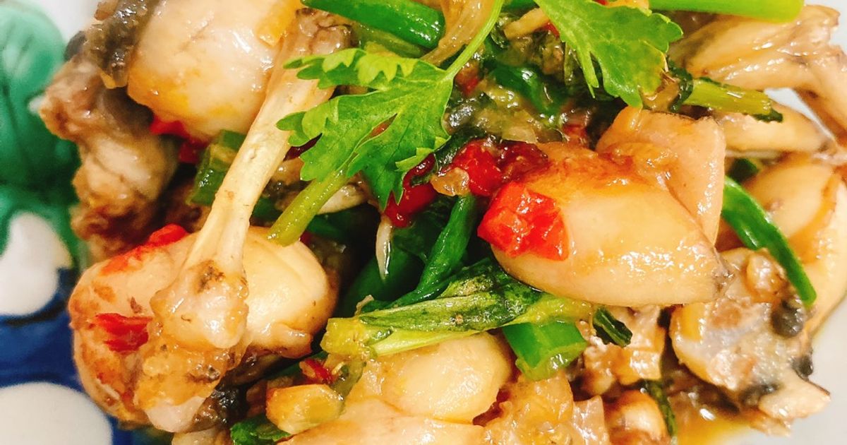 1 món ếch kho rau răm thơm ngon, đa dạng và dễ làm tại nhà - Cookpad