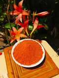 হোমমেড টমাটো পাউডার(Homemade Tomato powder recipe in Bengali)