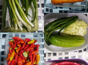 Foto resep 243# Tips menyimpan sayuran dikulkas agar tidak mudah rusak