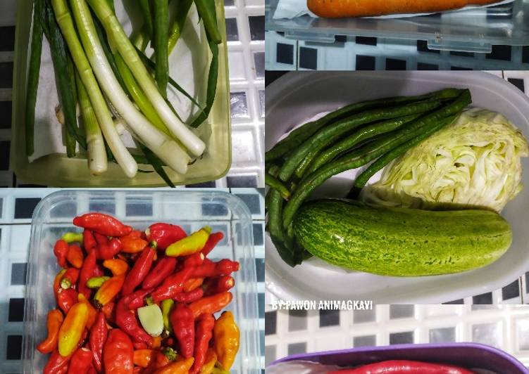 Rahasia Memasak 243 Tips Menyimpan Sayuran Dikulkas Agar Tidak Mudah Rusak Yang Lezat