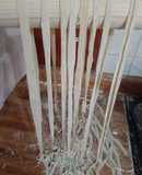 Pasta fresca