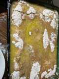Pumpkin Pie Dump Cake (Quick & Easy Fall Dessert Recipe)