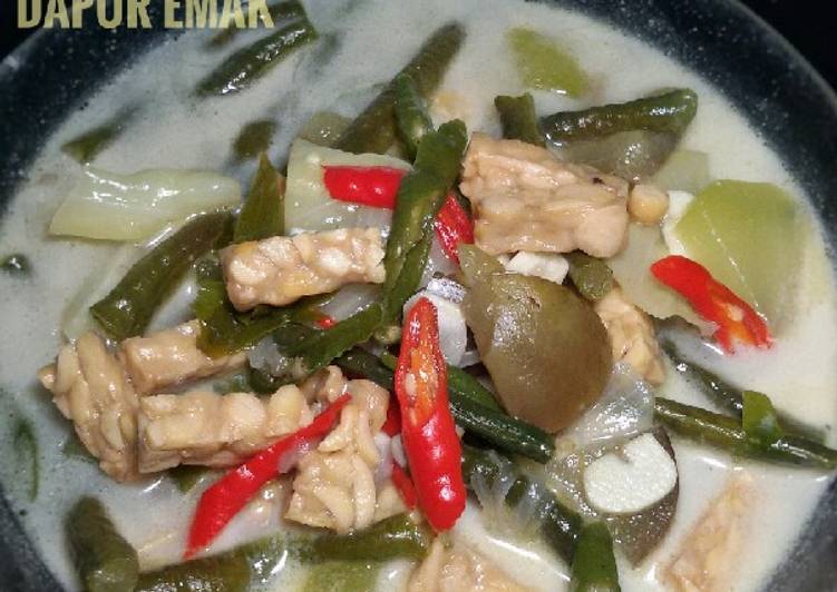 Lodeh Campur Tempe Bumbu Iris