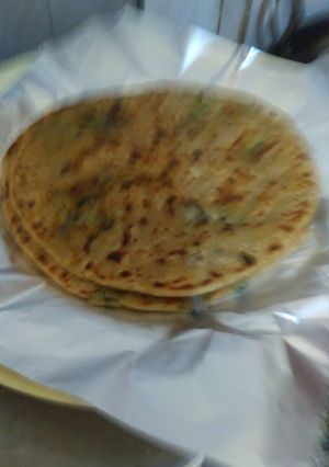 A picture of Palak paratha.