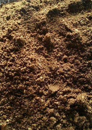 A picture of Amritsari Parantha Masala.