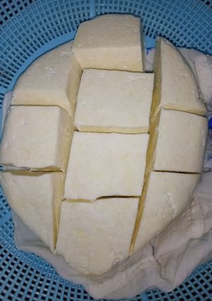 عکسی از دستور پنیر محلی خونگی