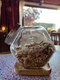 Granola
