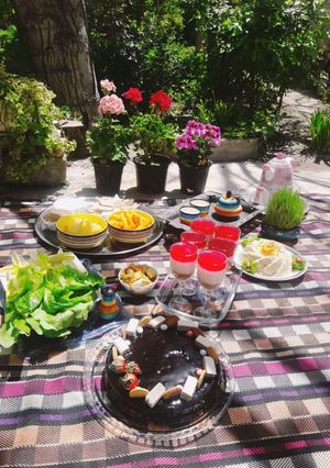 عکسی از دستور سیزده بدر خودمونی تو حیاط خلوت خونمون 😍