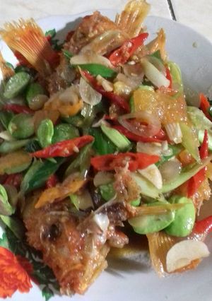 Foto resep Tumis mujaer