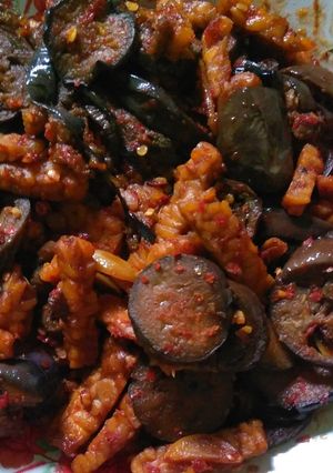Foto resep Terong tempe balado