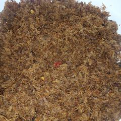 A picture of Dambun nama.