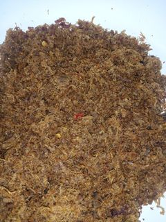 A picture of Dambun nama.