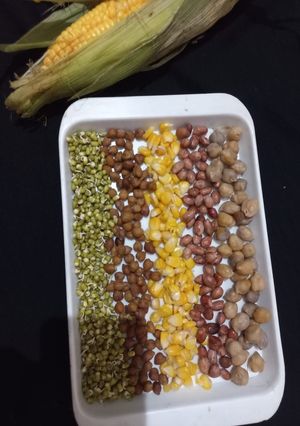 પ્રોટીનેક્સ સલાડ રેસીપી મુખ્ય ફોટો