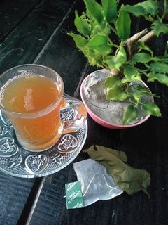 Foto resep Teh hijau daun salam