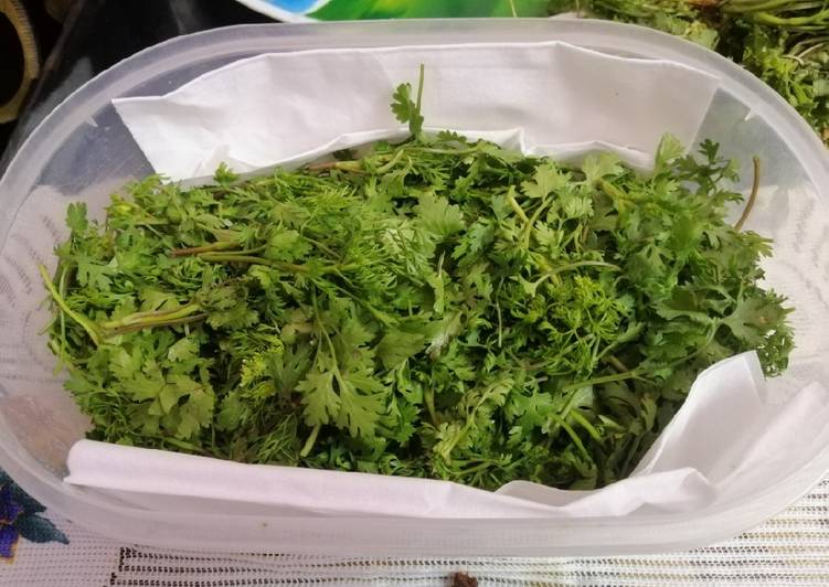 Freshness loaded Coriander Leaves Curry Leaves and Green Chillies