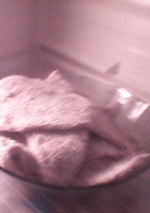 Una foto de Milanesas de carne