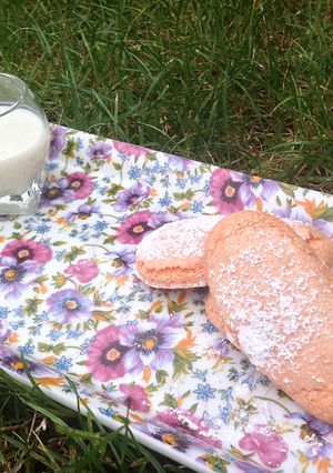 Une photo de Biscuit à la cuillère