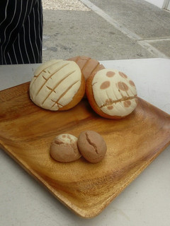 Una foto de Conchas