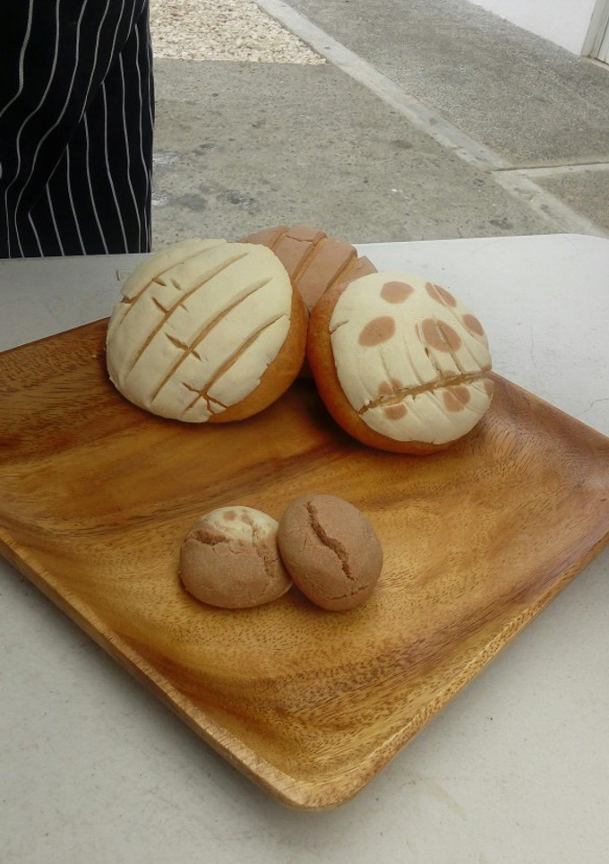 Una foto de Conchas