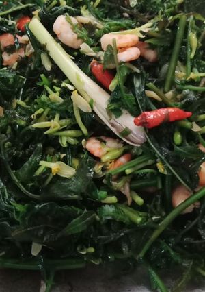 Foto resep Pakis tumis bunga pepaya