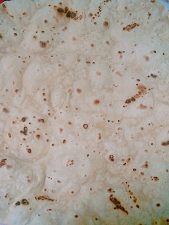 A picture of Simple roti.