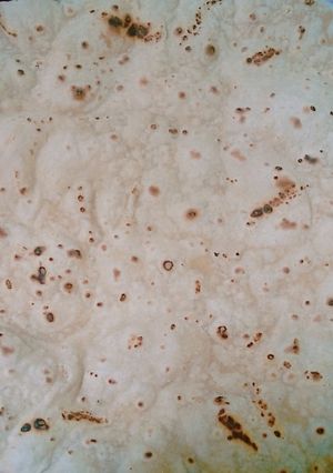 A picture of Simple roti.