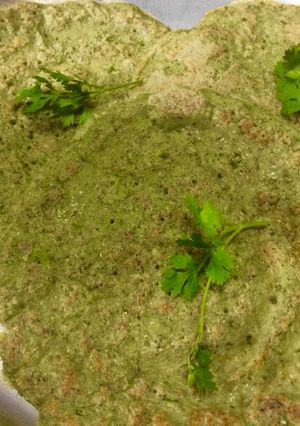 A picture of Healthy green Moong dosa.