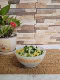 Ensalada de brócoli y arroz