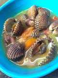 Kerang masak bumbu kuning