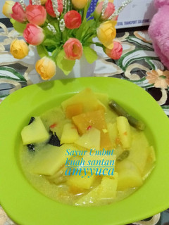 Foto resep Sayur umbut kuah santan