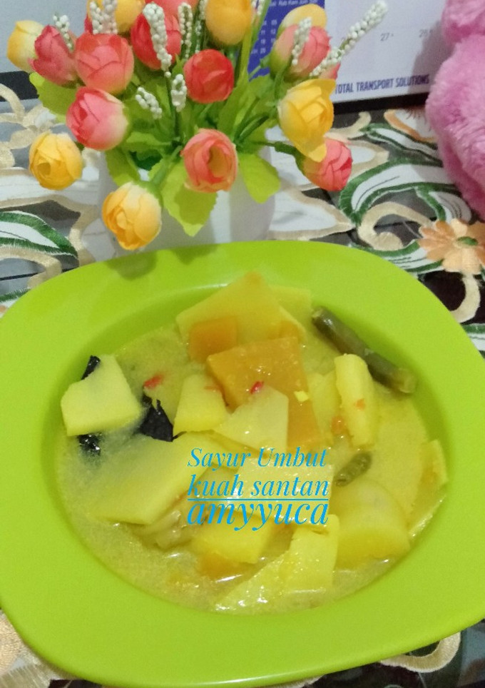 Foto resep Sayur umbut kuah santan