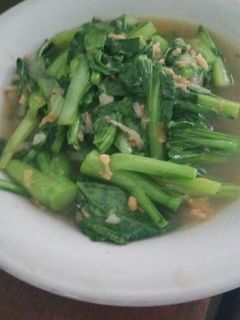Foto resep Tumis Kailan