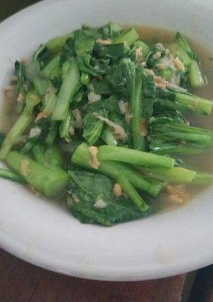 Foto resep Tumis Kailan
