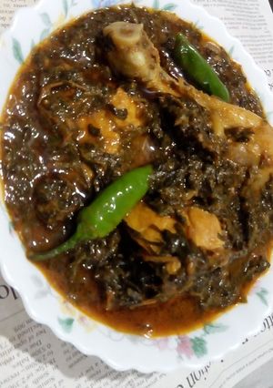 A picture of Palak Chicken.