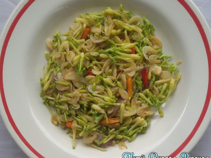 Langkah Mudah untuk Membuat Tumis Bunga Pepaya Campur Udang Seser yang Bikin Ngiler