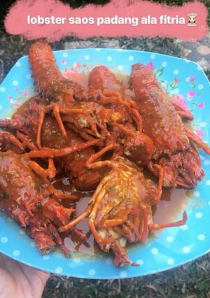 Foto resep Lobster saus padang