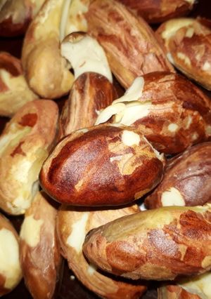 Hình của món Sữa Hạt Mít Ca Cao.