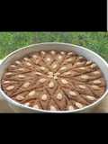Baked Kibbeh