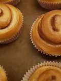 Cinnamon Rolls/Chocolate Rolls Bread